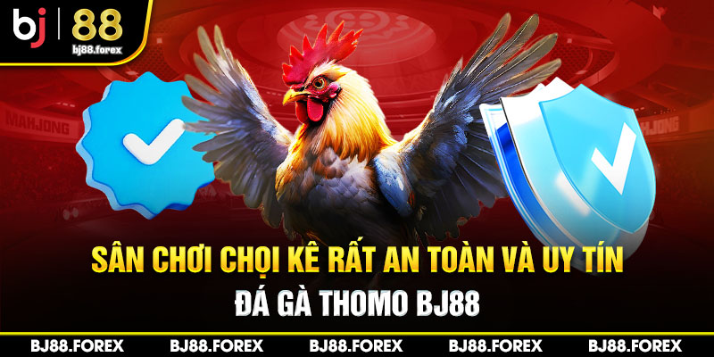 Sân chơi chọi kê rất an toàn và uy tín đá gà Thomo Bj88