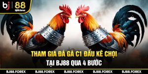 Tham gia gà chọi C1 đấu kê chọi tại Bj88 qua 4 bước