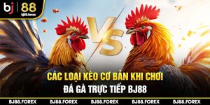 Các loại kèo cơ bản khi chơi đá gà trực tiếp Bj88