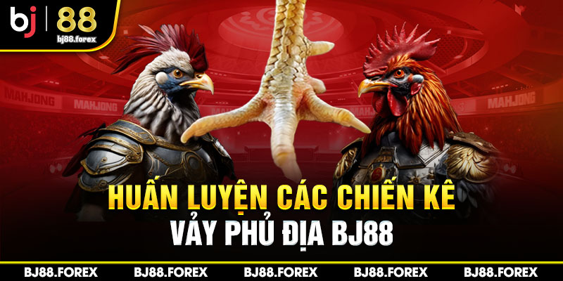 Huấn luyện các chiến kê vảy phủ địa Bj88