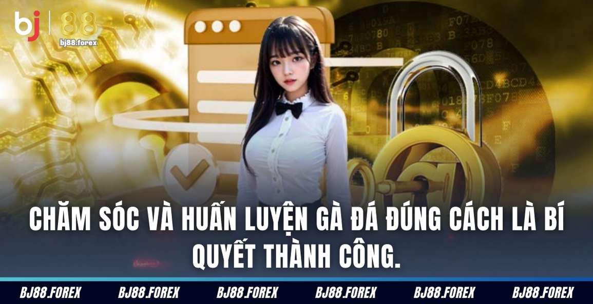 Kỹ thuật đá gà Thomo đỉnh cao giúp bạn giành chiến thắng.